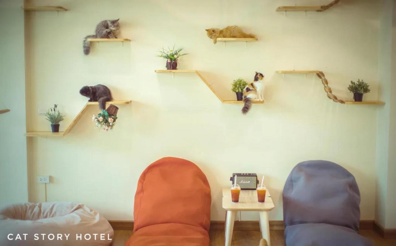 Patong Cat Story Hotel מראה חיצוני תמונה