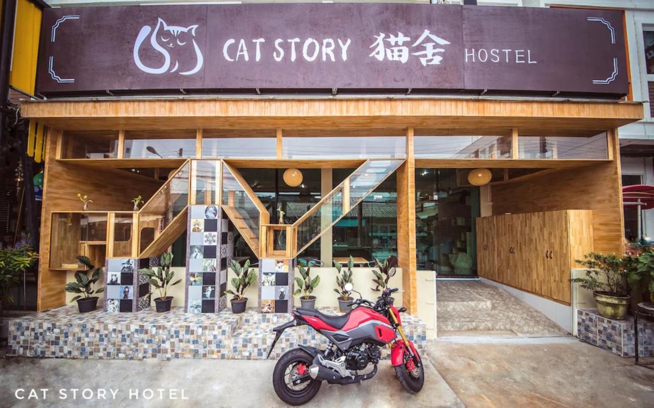 Patong Cat Story Hotel מראה חיצוני תמונה