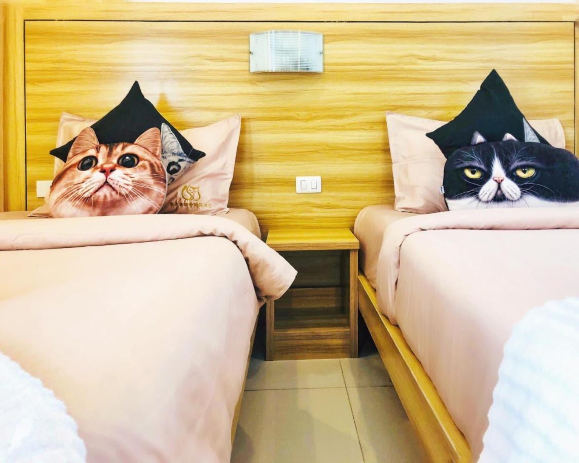 Patong Cat Story Hotel מראה חיצוני תמונה