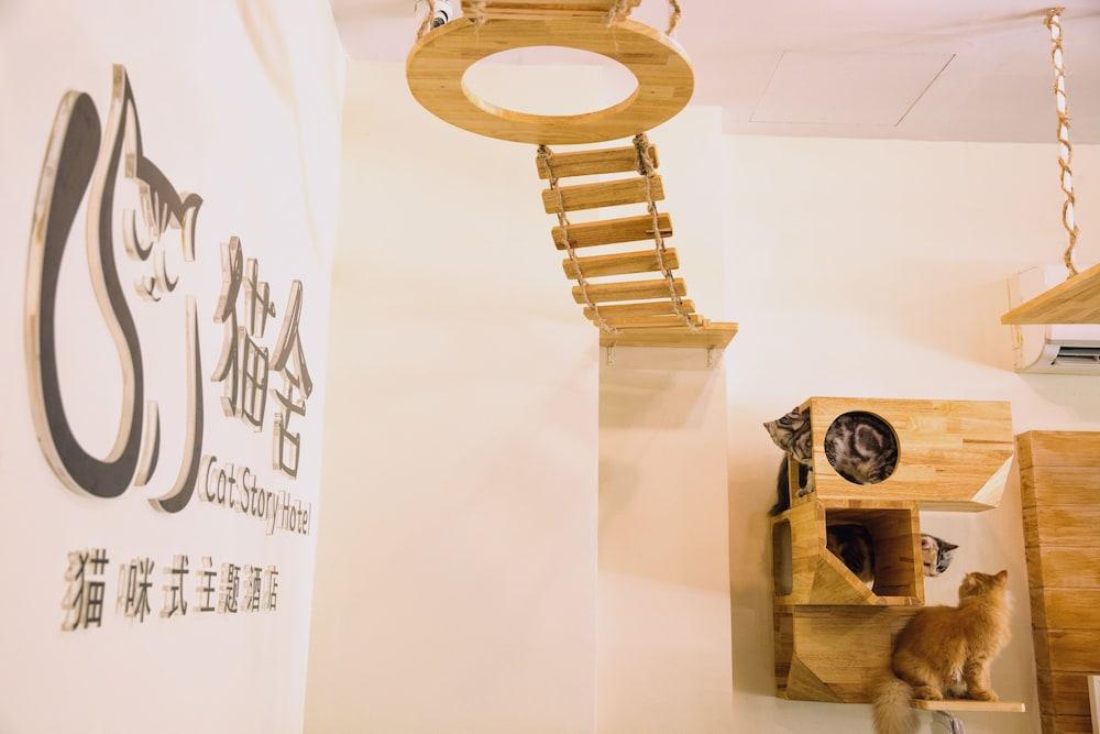 Patong Cat Story Hotel מראה חיצוני תמונה
