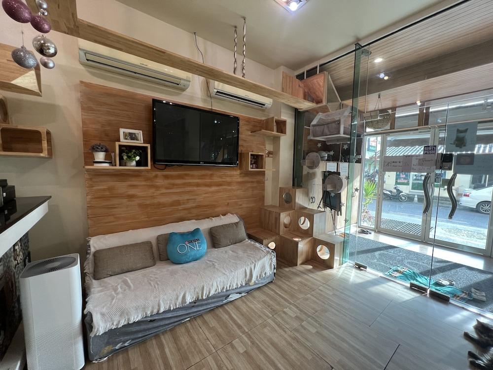 Patong Cat Story Hotel מראה חיצוני תמונה